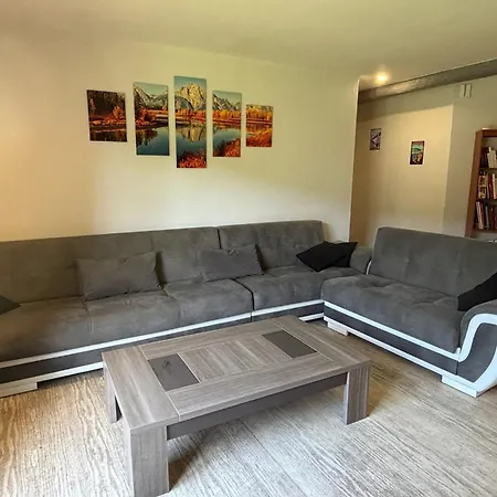 Gite De La Saboterie A Gerardmer Avec Jardin Vakantiehuis *