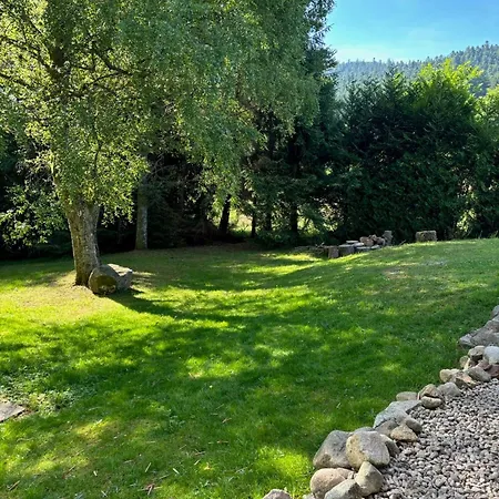 Gite De La Saboterie A Gerardmer Avec Jardin Vakantiehuis *